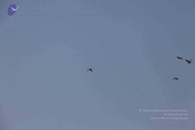 20100102 Photo 2436 111OPcn47QgH2z33y5eS2aOhmeGMeg7Au.JPG