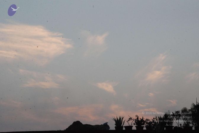 20100104 Photo 1012 1 RSYG1R699pOufFRCSoihA83V DRmJoe.JPG