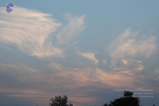 20100104 Photo 1013 1tKCzVT C91Ql-Bog5vitdRHtUHogaaSV.JPG