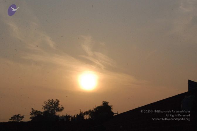 20100104 Photo 1030 1jKAD-fJIM l GvXRXGYEGsCAdlWEsYvP.JPG