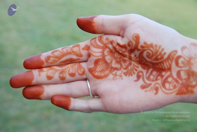 20100104 Photo 1044 1VvtTNZCfFY7rgo4NeEAveLQWBNegU 1 .JPG