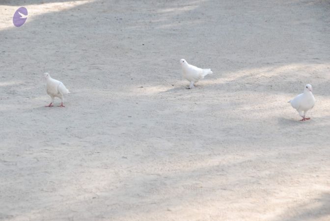 20100104 Photo 1051 1K607C7NPWcuJJQqewFdWAk40phrjafQQ.JPG