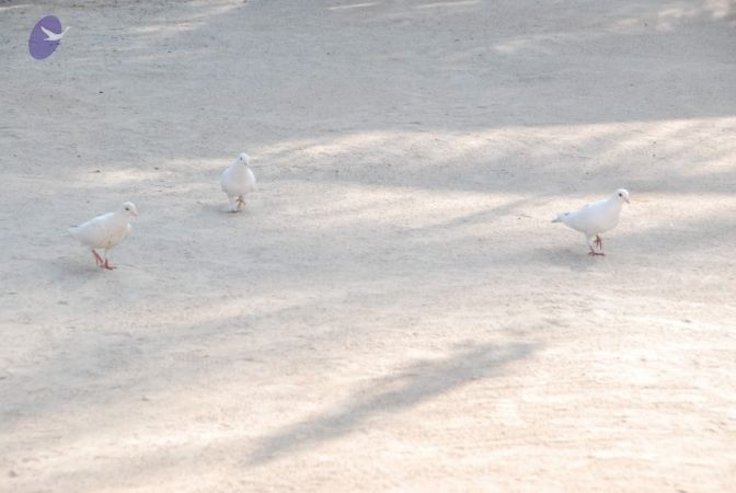 20100104 Photo 1052 1w7yuBwgmjGKrRyy7S04m8FIYEZHIUJ3Y.JPG