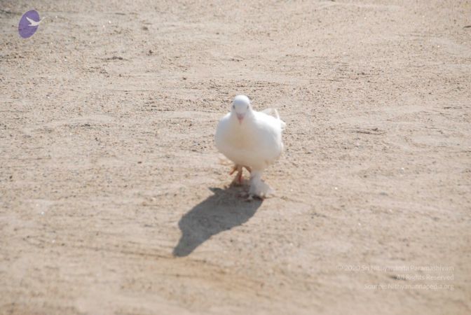 20100104 Photo 1056 1cOYdxke-XcsqnUOvwx7E8G8738RbQt4K.JPG