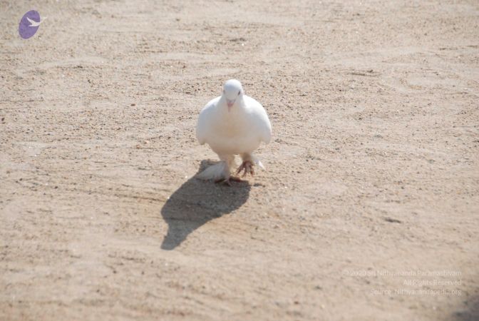 20100104 Photo 1057 1V uMkoKGq6wAJbGVmFm0kEnhsQU6PmoP.JPG