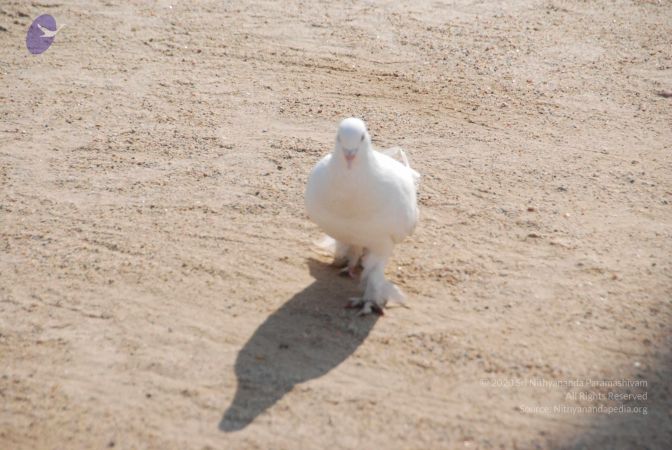 20100104 Photo 1059 1LKTeR5NcV9x-FCvSckBrmvYTVlhsMaU3.JPG