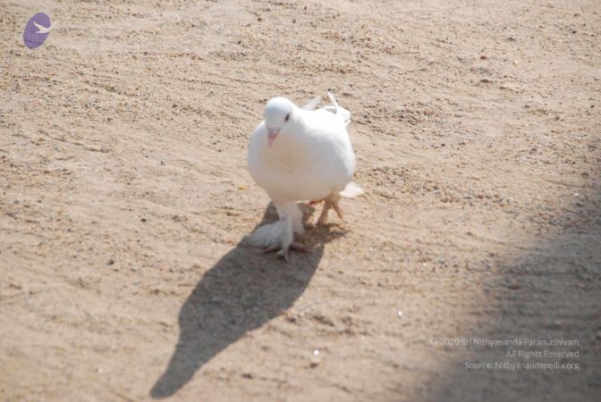 20100104 Photo 1060 1KwtImYbAzzntHnNMM0uJJDqXHUdoO9og.JPG