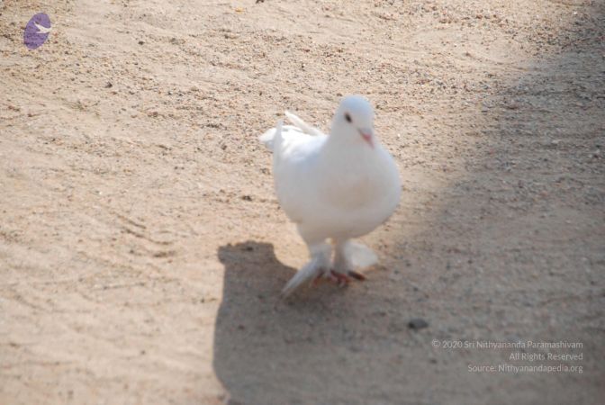 20100104 Photo 1061 1zEYPOP3H-OaPWFBuDXJeQyowlZwMpk6Q.JPG