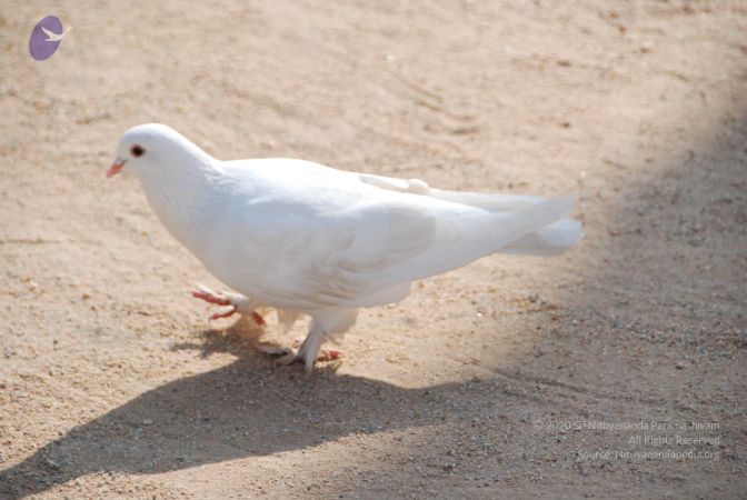 20100104 Photo 1063 1lDOVN6kM3o1bqCItkhKCPM9UuvoZJauK.JPG