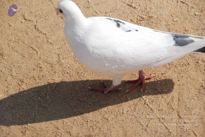 20100104 Photo 1064 1eSmL4NvSTZOO2e9NZ3QT9ha-TimKqoGO.JPG