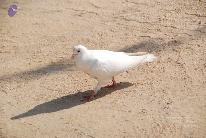 20100104 Photo 1065 1KUauXRUKVjOZ0oPnBmv5e7PPMovoI4FU.JPG