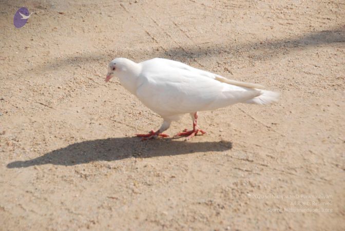 20100104 Photo 1067 1 4nf3FH-fQq54jOgoeYQbzY9Ss5sqjYm.JPG