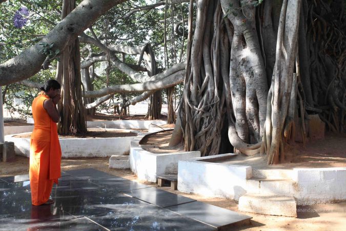 20100104 Photo 1111 16zb-1QduK4MZG0JfV 4rjj4pZ7qElpj6.JPG