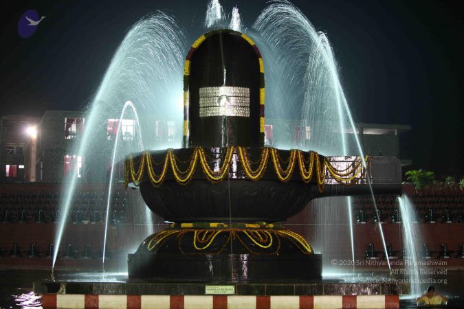 20100104 Photo 1177 1MtdR2PLo2vbcPsjIhQ66xatEwrx-uJJB.JPG