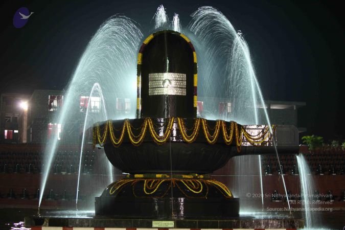 20100104 Photo 1178 11T251XSmALfrTOKS09 1l33EEKWK1blb.JPG