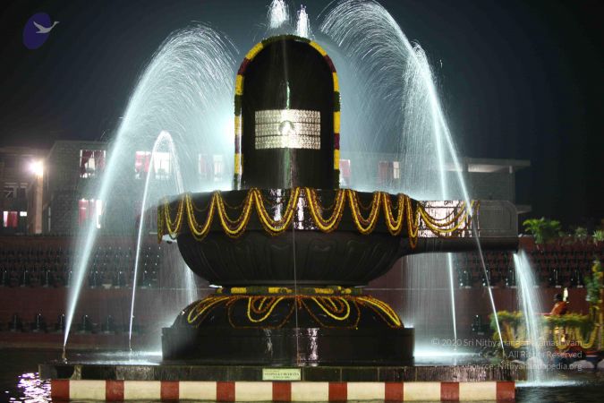 20100104 Photo 1182 1xzLA-c2MlBTz014qytasZ5KMQwTUU5IJ.JPG