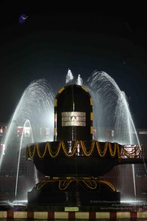 20100104 Photo 1188 181jV0DJtvCk8nvLDephAJLj2y8X2fXL0.JPG