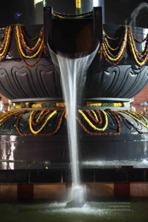 20100104 Photo 1195 1LJrRE6O26eHxkrSBxzVauI9eSMxvIgIw.JPG