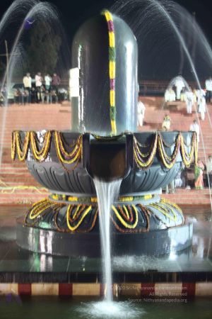 20100104 Photo 1198 1FRtjj6c0O9JGFEN9gxs8ARWvxTdf4JL3.JPG