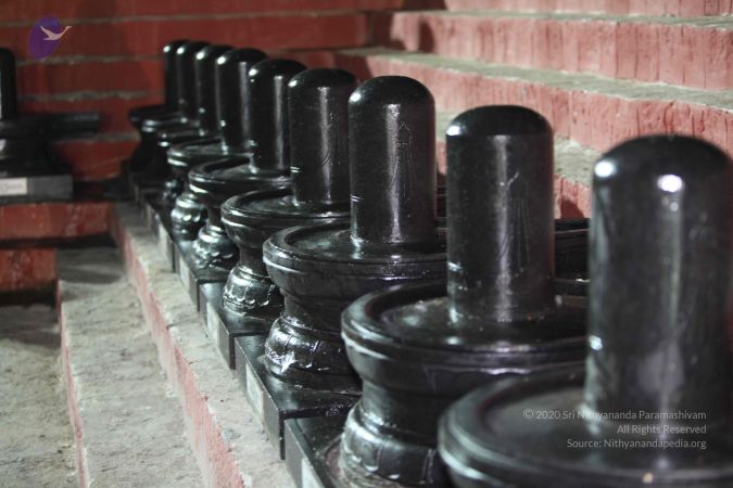 20100104 Photo 1202 1SqbsS0OsO1z0f2NllgdkhIxEAREjUOvb.JPG