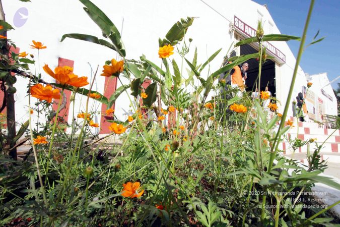 20100105 2010 01 05 IMG 0115 CMP WM01.jpg