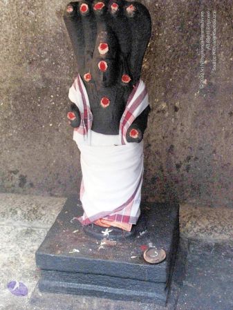 20100107 IMG 2265 CMP WM 0000.jpg