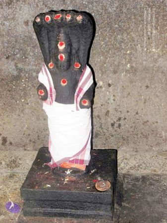 20100107 IMG 2268 CMP WM 0000.jpg