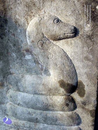 20100107 IMG 2277 CMP WM 0000.jpg