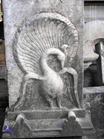 20100107 IMG 2292 CMP WM 0000.jpg