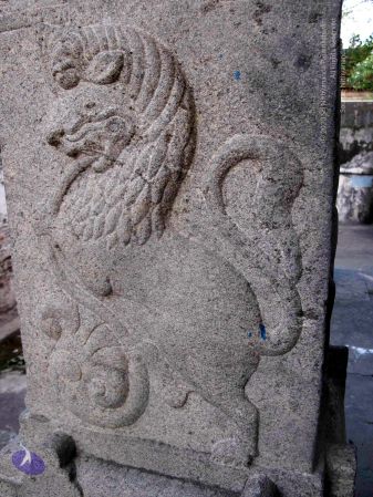 20100107 IMG 2296 CMP WM 0000.jpg