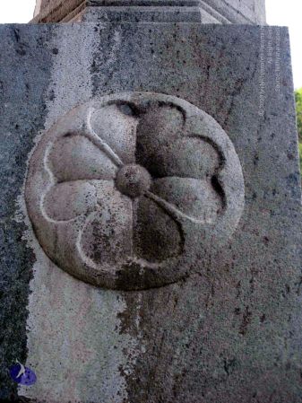 20100107 IMG 2299 CMP WM 0000.jpg