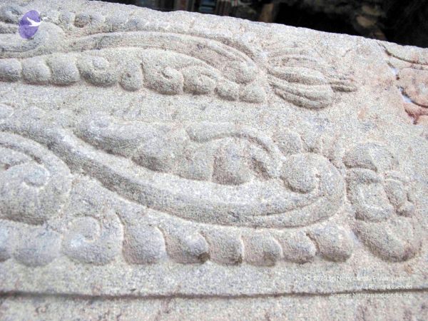 20100107 IMG 2307 CMP WM 0000.jpg