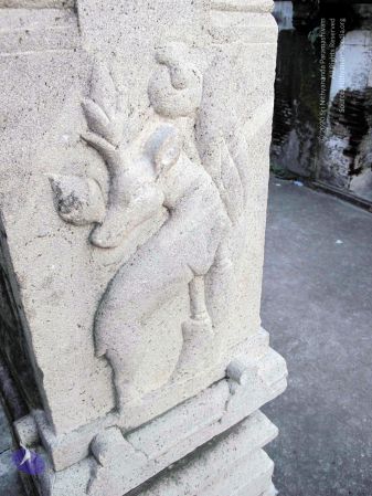 20100107 IMG 2310 CMP WM 0000.jpg