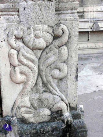 20100107 IMG 2319 CMP WM 0000.jpg