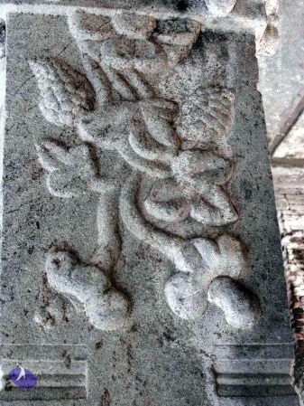 20100107 IMG 2320 CMP WM 0000.jpg