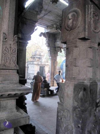 20100107 IMG 2327 CMP WM 0000.jpg