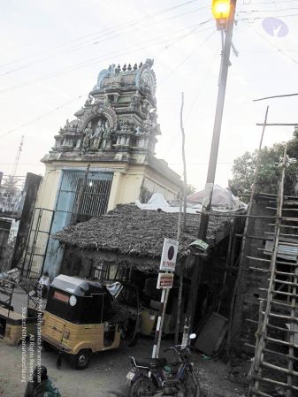 20100107 IMG 2336 CMP WM 0000.jpg