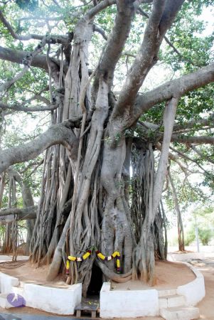 20100113 DSC 9667 CMP WM01.jpg