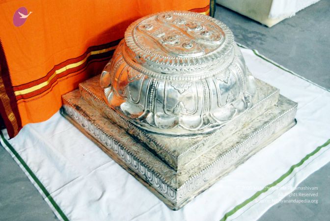 20100113 DSC 9715 CMP WM01.jpg