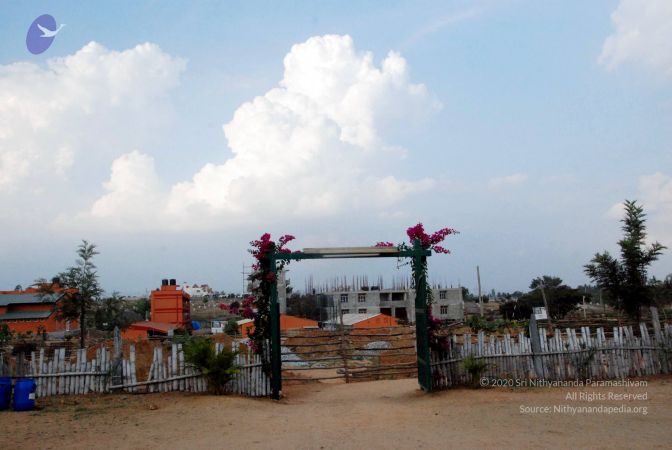 20100113 DSC 9771 CMP WM01.jpg