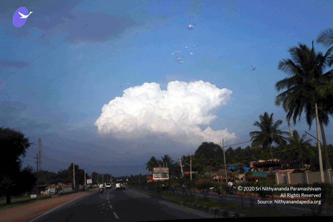 20100113 IMG 0562 CMP WM01.jpg