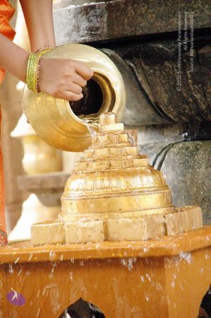 20100117 DSC 1218 CMP WM01.jpg