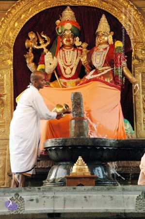 20100117 DSC 1348 CMP WM01.jpg