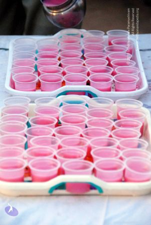 20100120 DSC 1109 CMP WM01.jpg