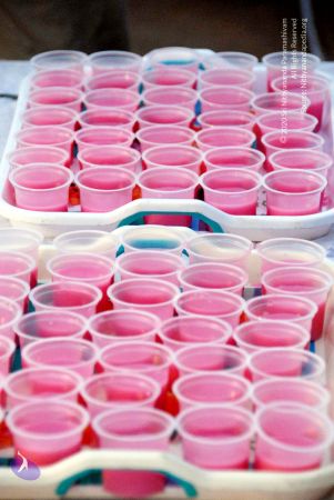 20100120 DSC 1113 CMP WM01.jpg