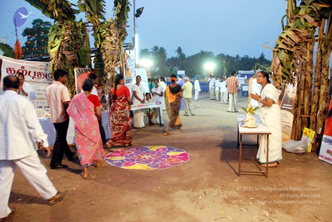 20100120 DSC 1117 CMP WM01.jpg