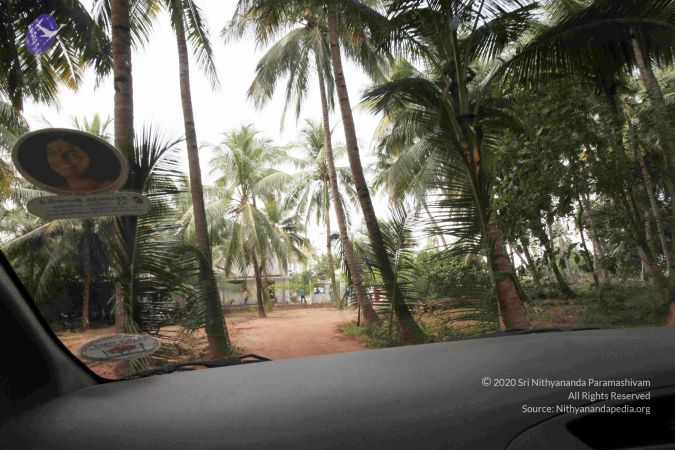 20100120 IMG 1466 CMP WM01.jpg