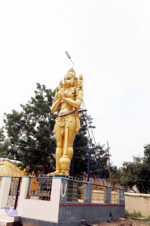 20100120 IMG 1652 CMP WM01.jpg