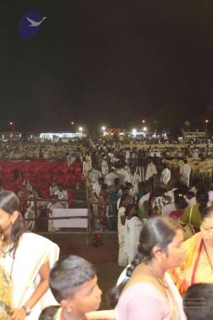 20100122 Photo 1532 1tZcIMRaMsn3IkSne9Kt9PXVLDSbzoeSX.JPG