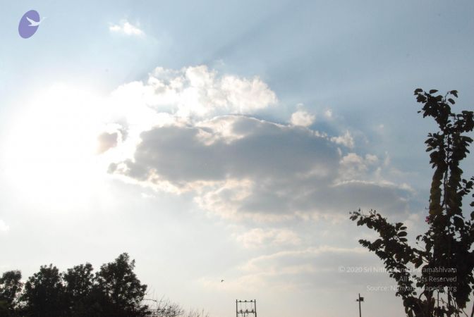 20100126 Photo 1091 1PxkdWPo3gTBNN5xV7WQnUgw6-sb wQoD.JPG